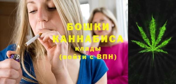 шишки Белоозёрский