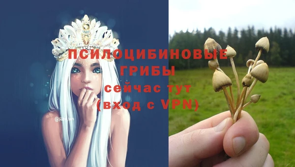 марки nbome Беломорск