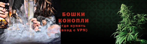 шишки Белоозёрский