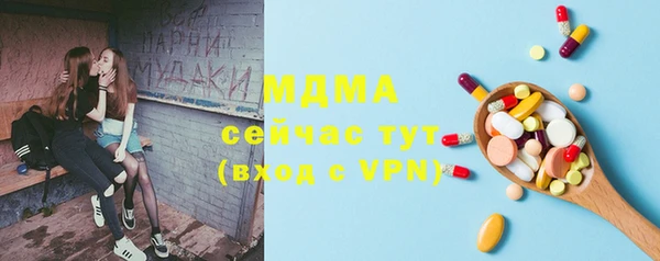 шишки Белоозёрский