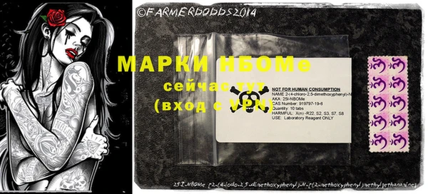 шишки Белоозёрский