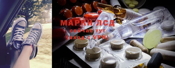 шишки Белоозёрский