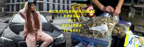 spice Белокуриха