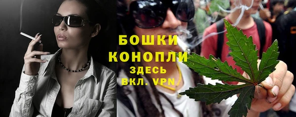 spice Белокуриха