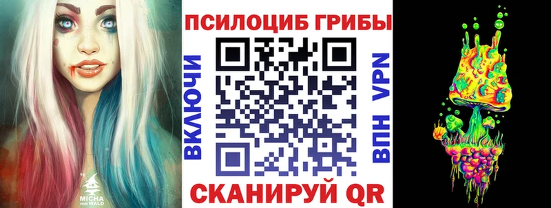 Галлюциногенные грибы ЛСД  сколько стоит  Шали 
